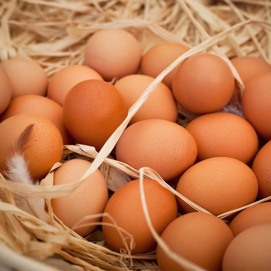 Ovo: Um Superalimento Nutritivo, Versátil e Essencial na Alimentação